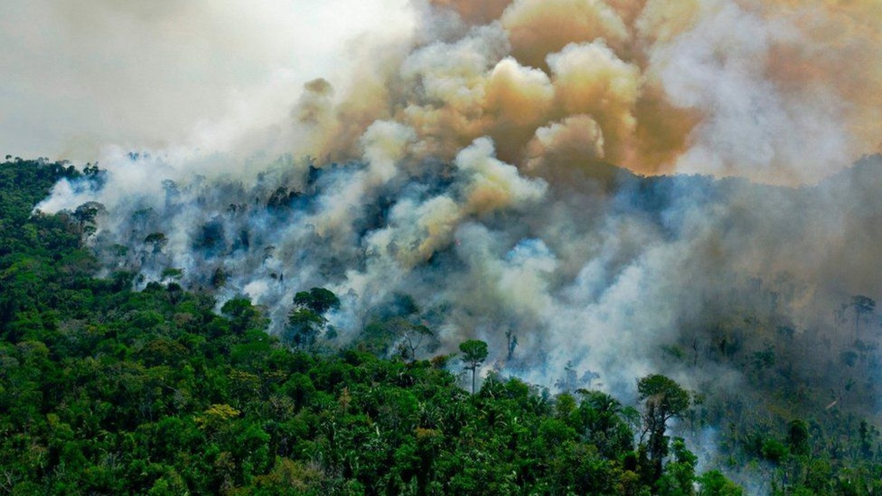Amazon yangınları