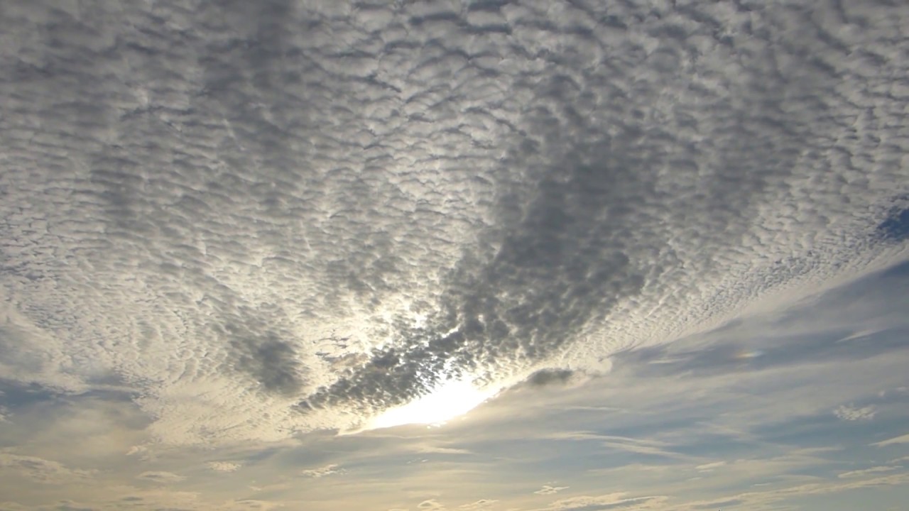 Gökyüzüne Bakınca Binbir Farklı Şekle Benzettiğimiz Bulutlar Aslında Ne Anlatır? Bilime Göre Bulut Çeşitleri ve Özellikleri