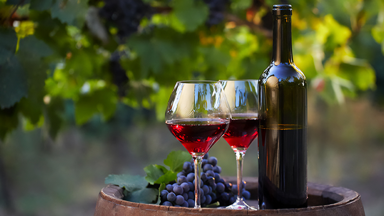 Şarap ve üzüm