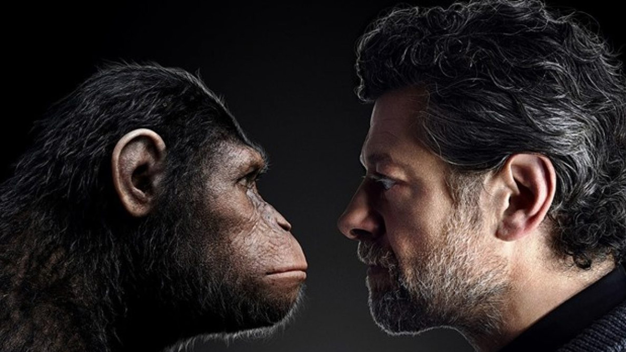 şempanze ve insan