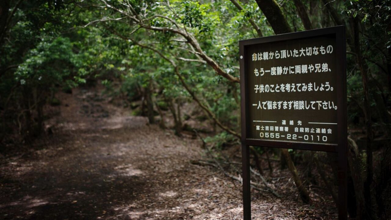 İntihar ormanı Japonya, Japonya Aokigahara ormanı girişi