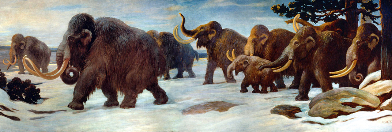 mamutların ömrü