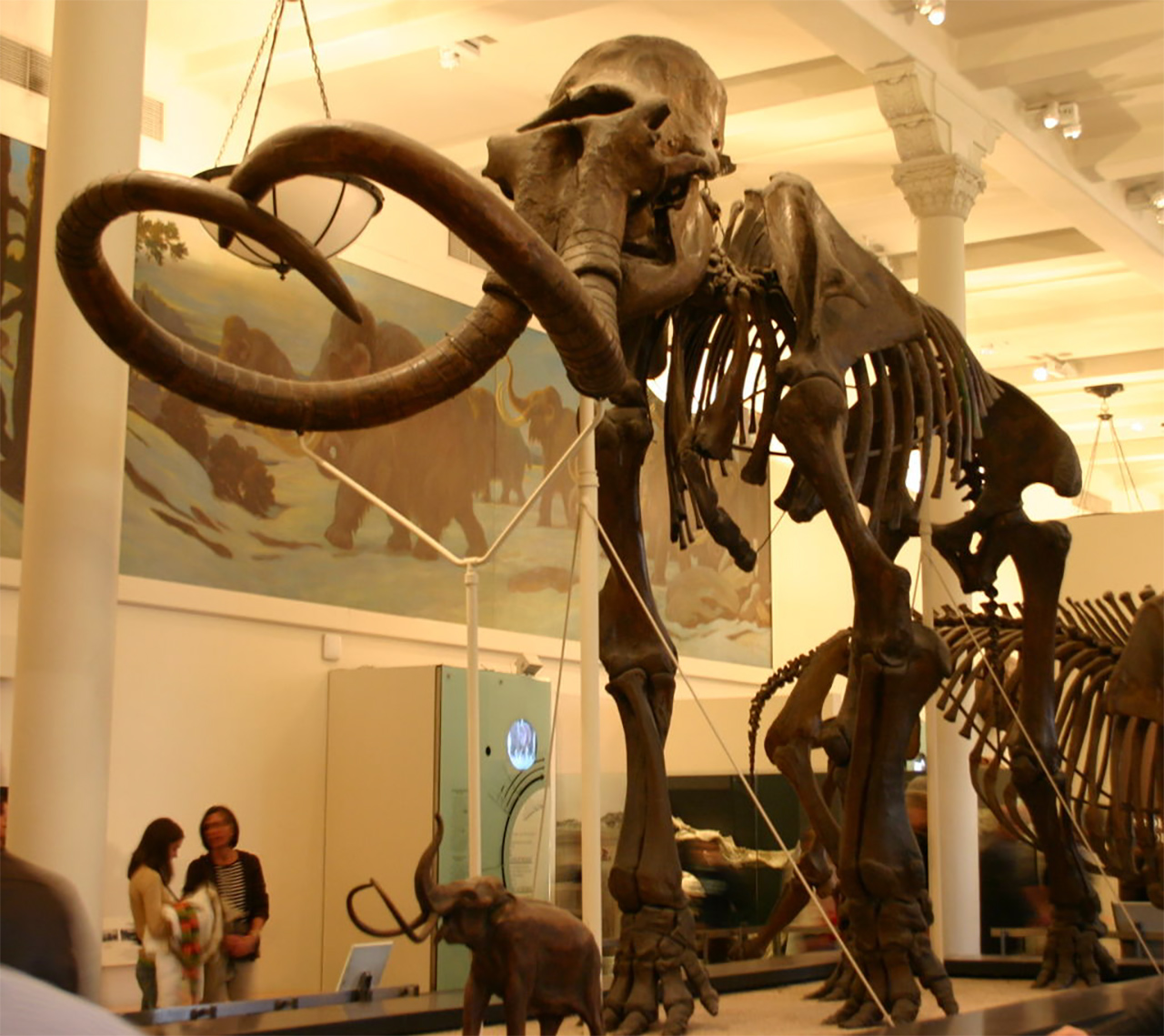 mamut nesli neden tükendi
