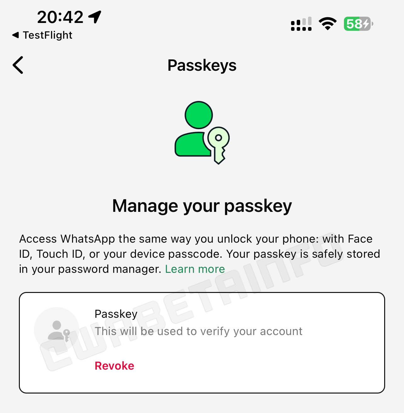 WhatsApp iOS Passkeys