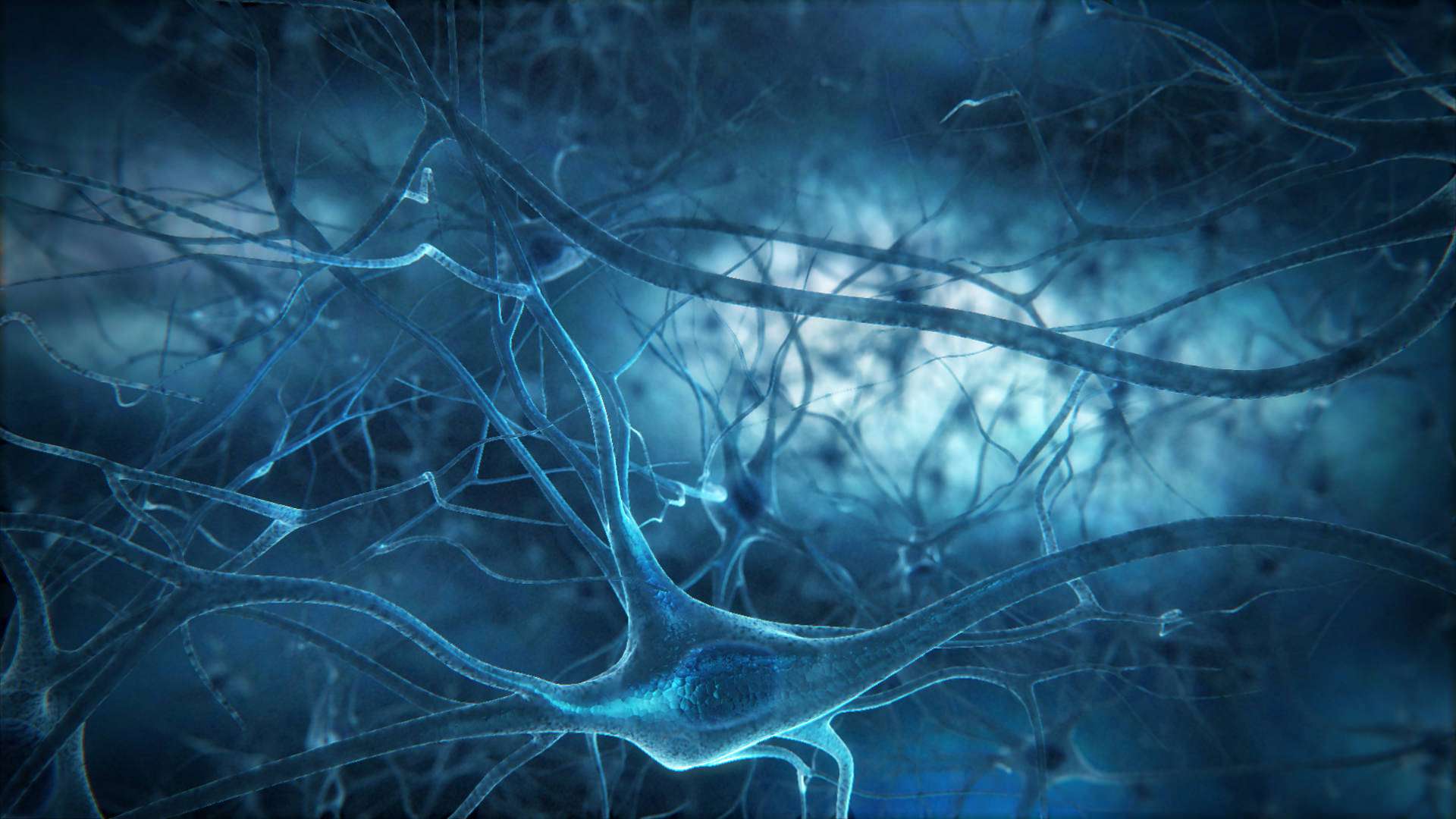Beyin Hücrelerimiz Hakkında 100 Yıllık Gerçek Tarih Oldu! Webtekno