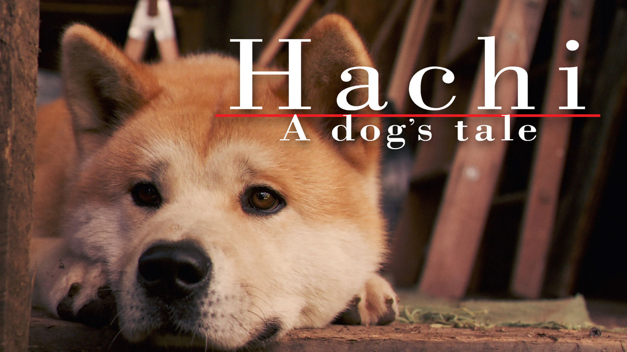 Слушать хатико. Щенок Хатико. Хатико: самый верный друг (Hachiko: a Dog's story) 2009.