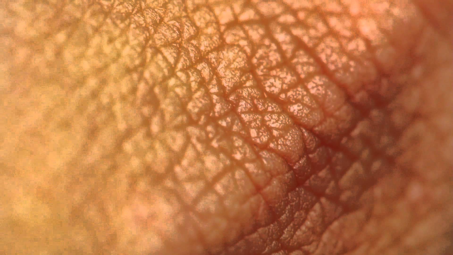 Микро кожи. Кожа человеческая. Текстура человеческой кожи.