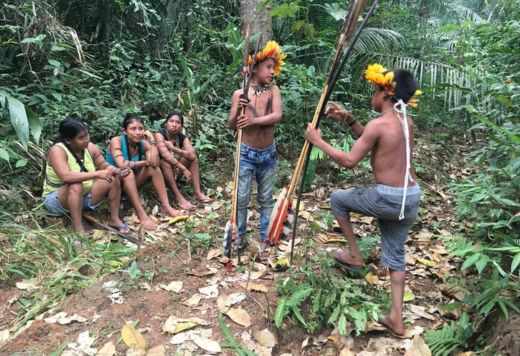 Her Dakika, Bir Futbol Sahası Kadar Amazon Ormanı Yok Oluyor