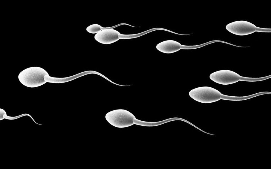 Sağlıksız Beslenmenin Sperm Sayısını Düşürdüğü Keşfedildi