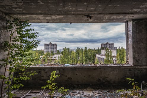 Çernobil’deki Nükleer Felaketten Sonra Bitkiler Neden Ölmedi