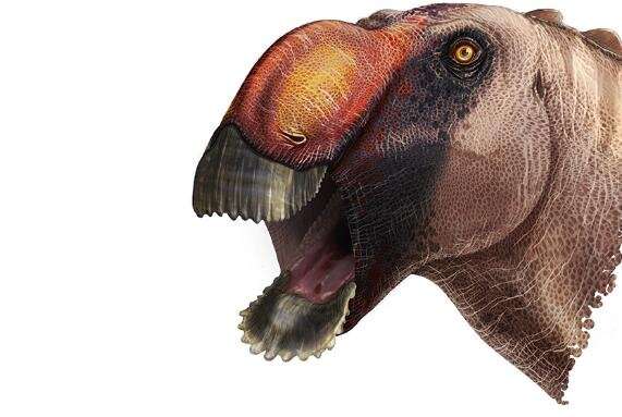 Ördek Gagasına Sahip Yeni Bir Dinozor Türü Keşfedildi