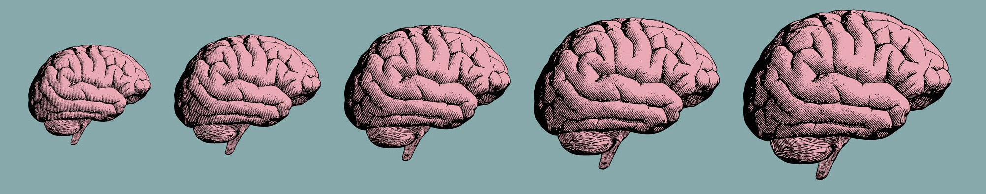 Her İnsan Beyninde Bulunan Gerçek Süper Güç: Nöroplastisite