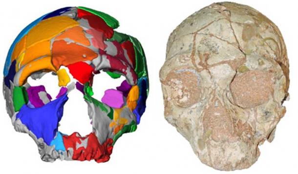 Yunanistan'da 210 Bin Yıllık Homo Sapiens Fosili Bulundu