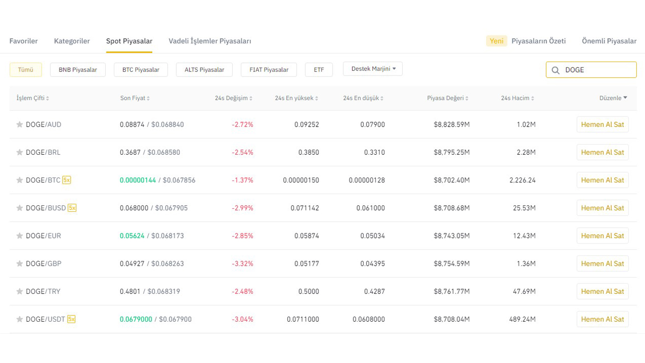 Dogecoin Nedir, Nasıl Alınır?