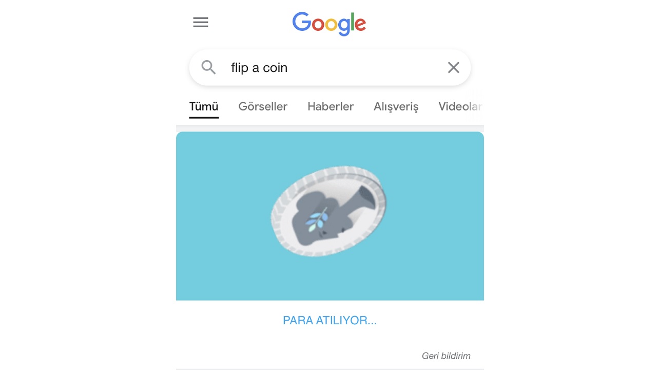 flip a coin