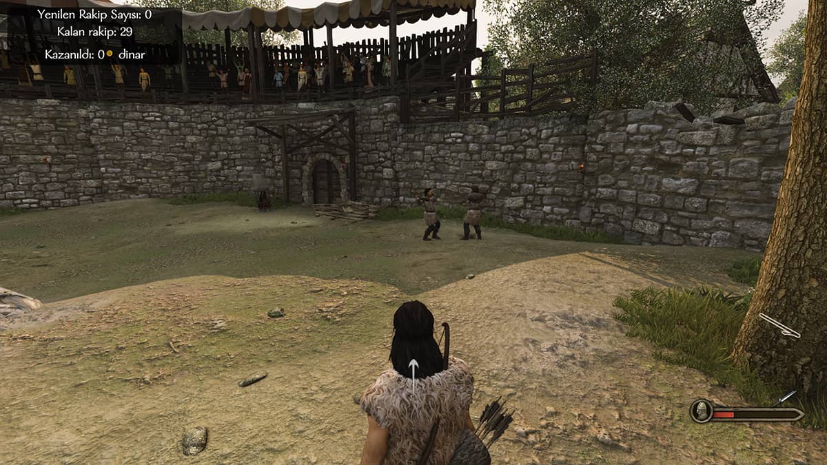 bannerlord arena