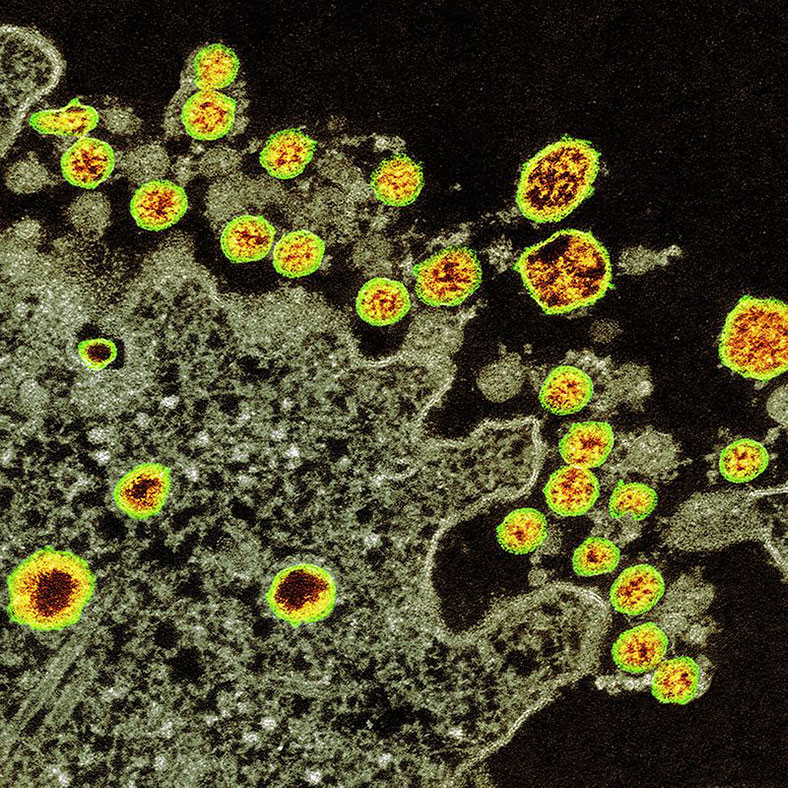 dünya koronavirüs fotoğraf