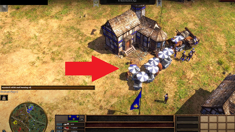 age of empires 3 cheats