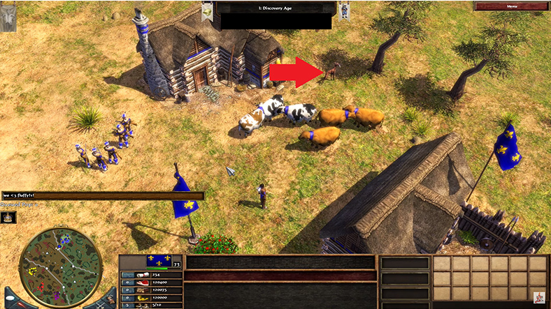 age of empires 3 cheats