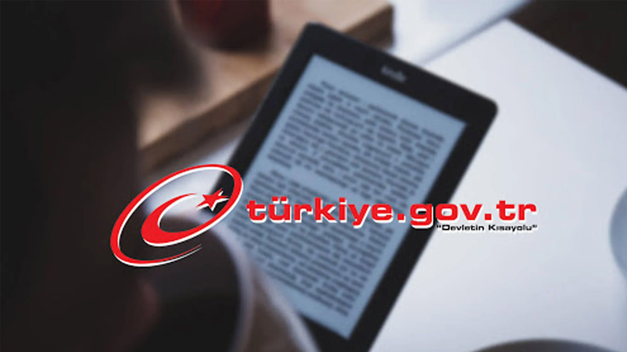 e-government e-book