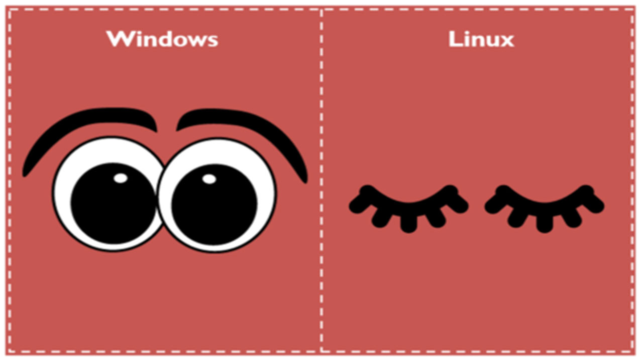 windows vs linux gizlilik