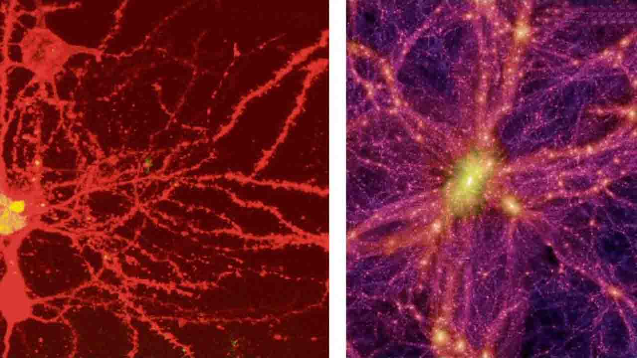 evren ile beyin arasındaki benzerlik