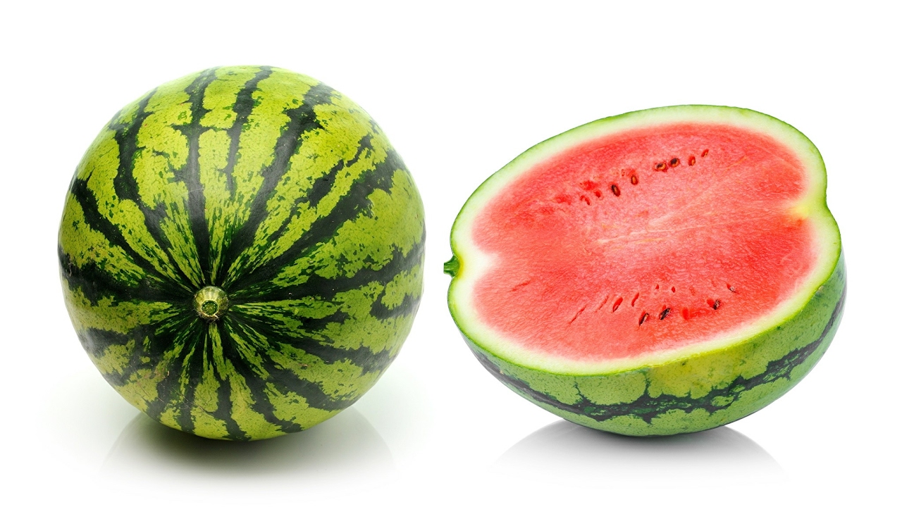 modern watermelon