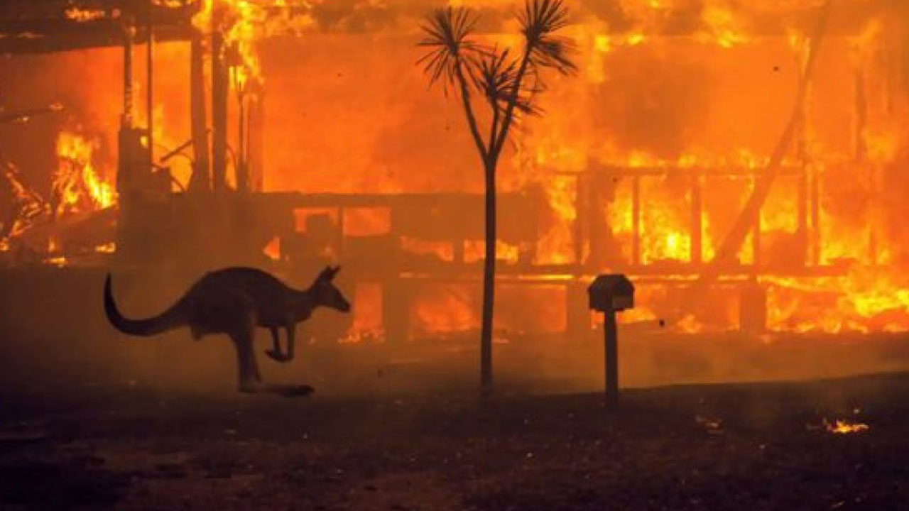 Avustralya orman yangınları