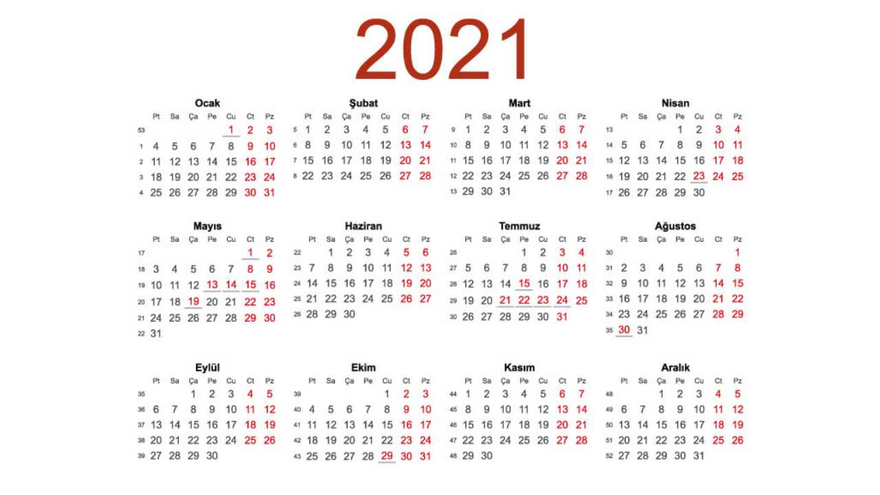 yapraklı duvar takvimi 2021