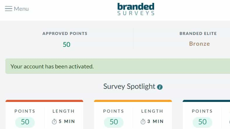 branded surveys