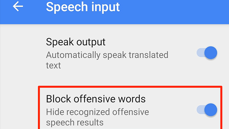 google translate offensive words