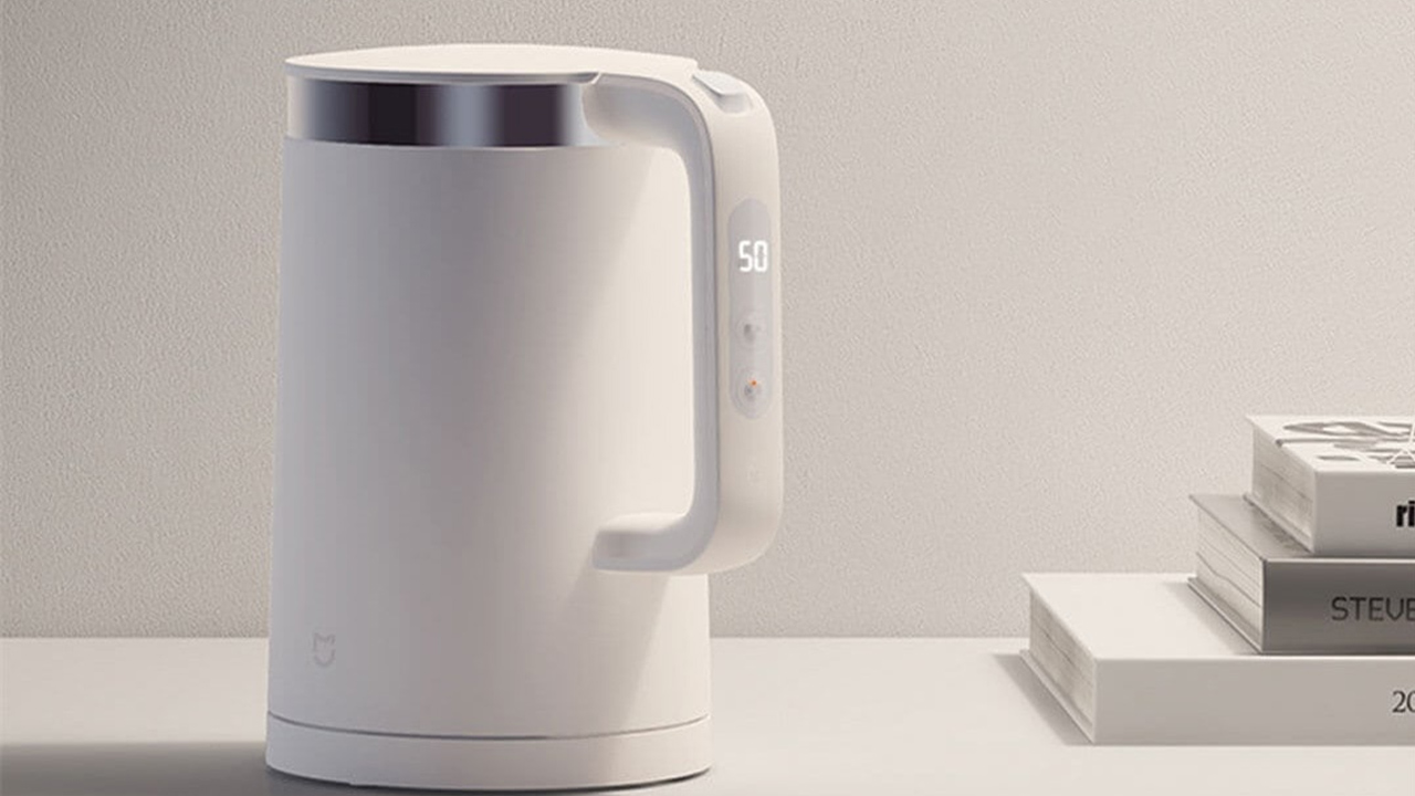 Thermostatic electric kettle 2