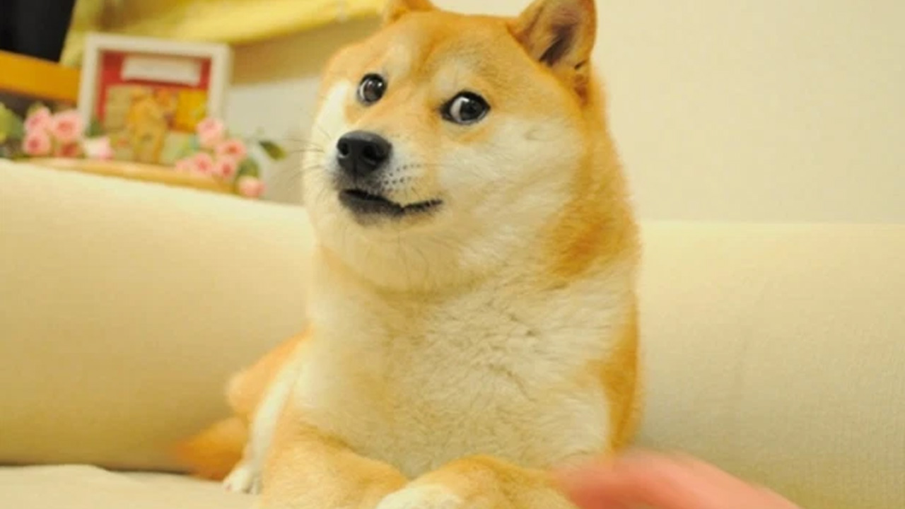 9GAG’in Unutulmaz ‘Meme’i Doge, 4 Milyon Dolara Satıldı