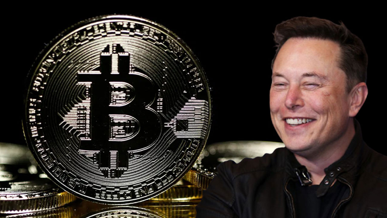 Elon Musk, Hangi Kripto Paralara Sahip Olduğunu Açıkladı