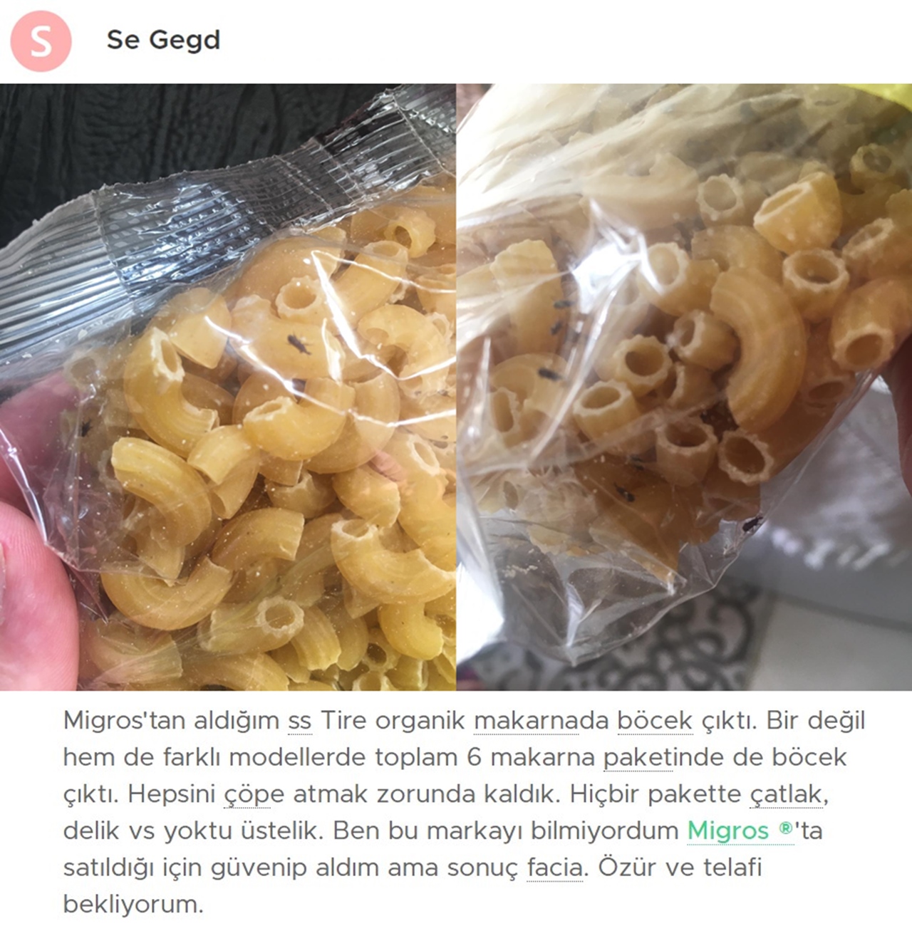 migros macaroni insect