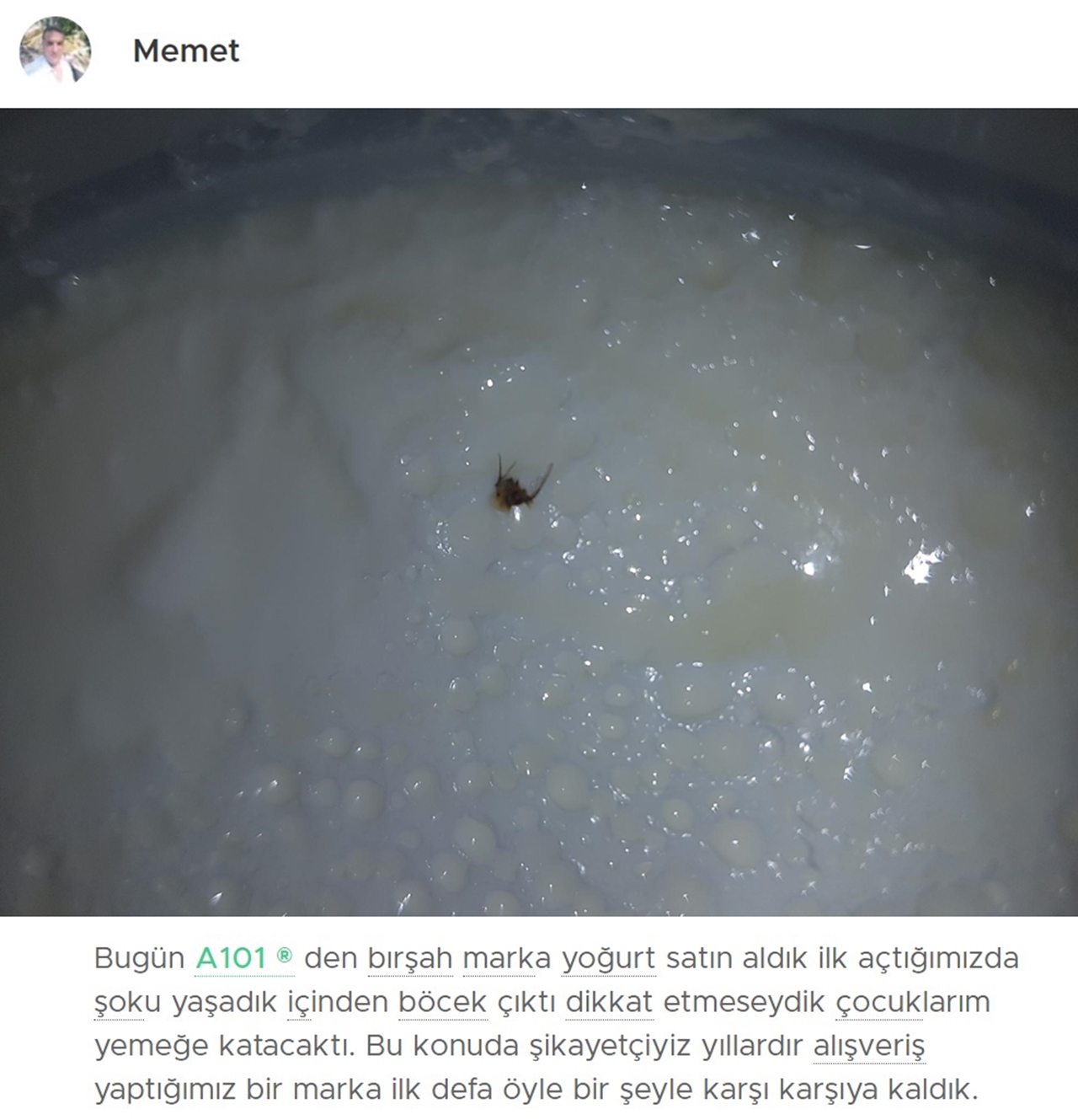 a101 yogurt bug