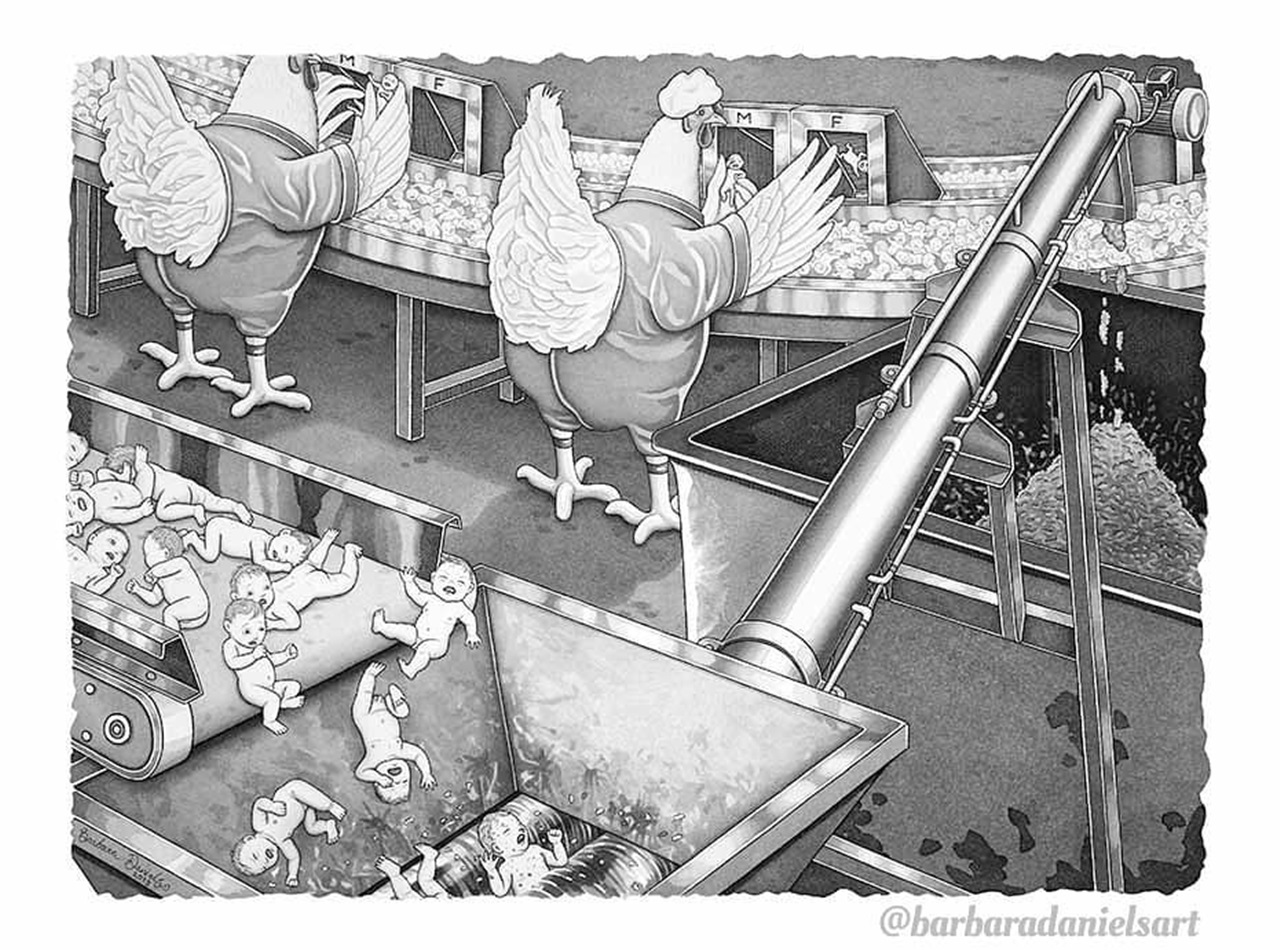 chick industry