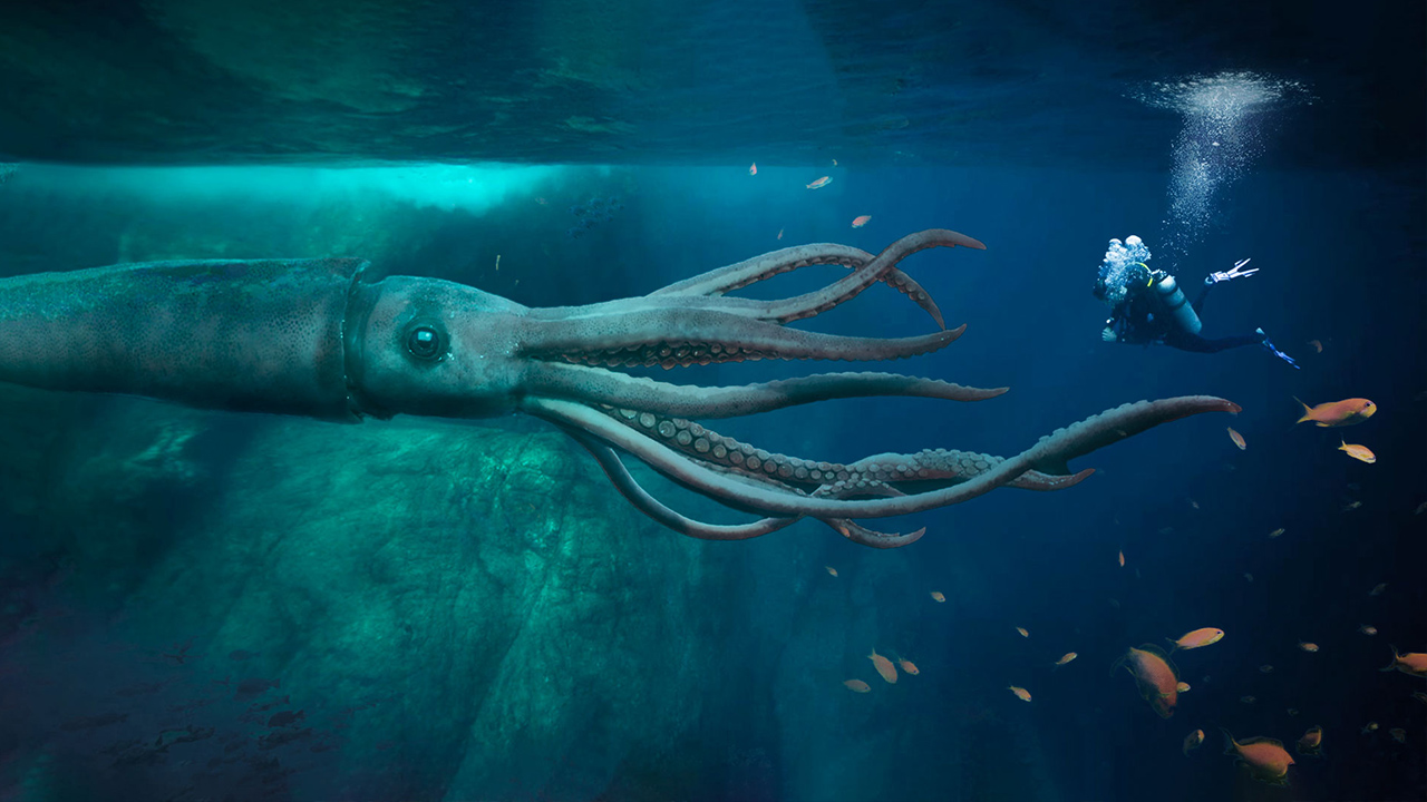 giant squid