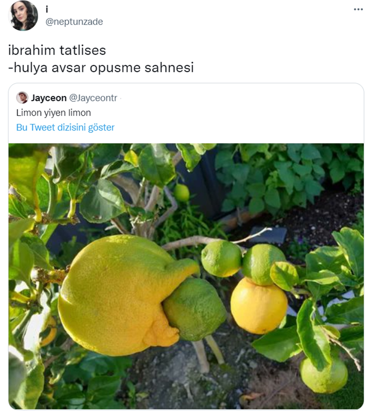 lemon tweet