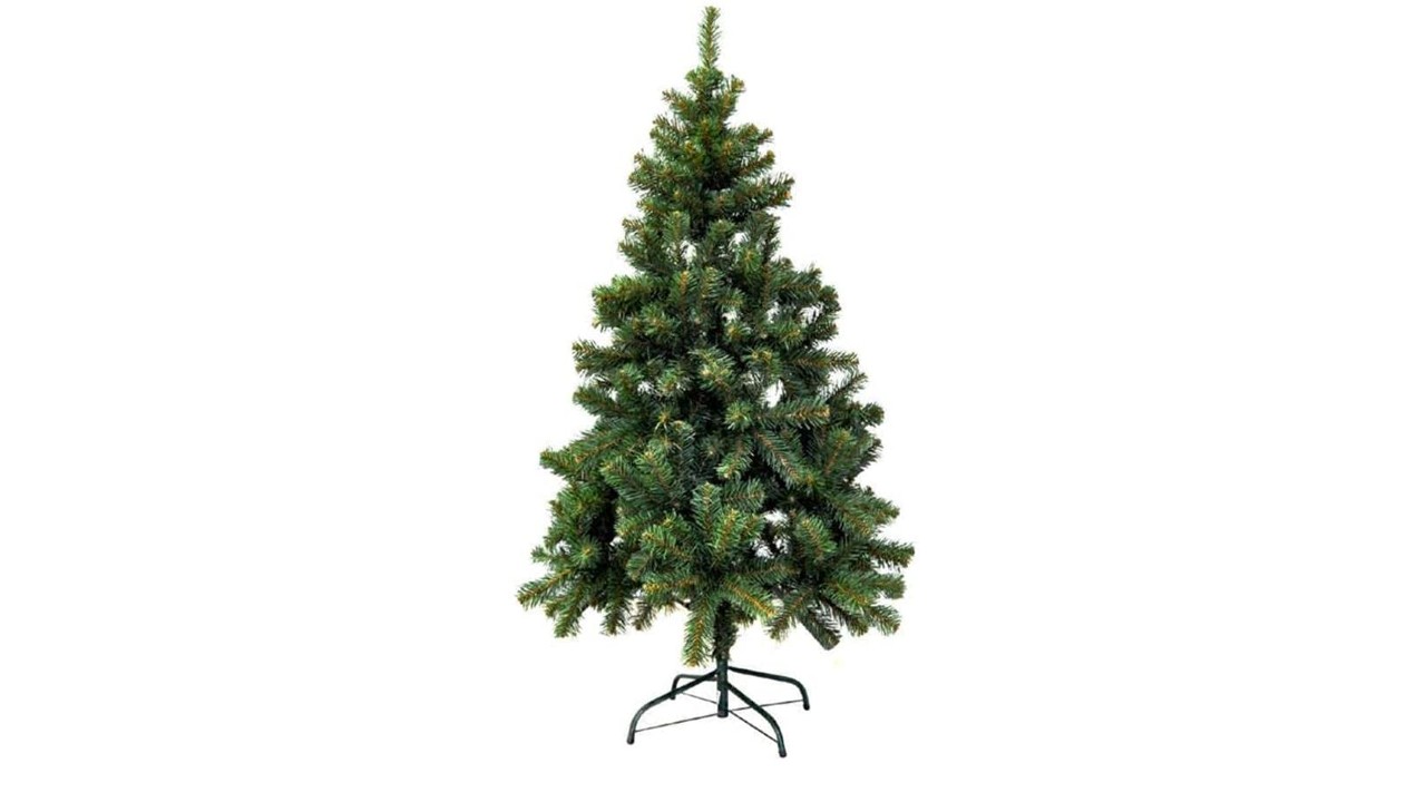 christmas pine tree