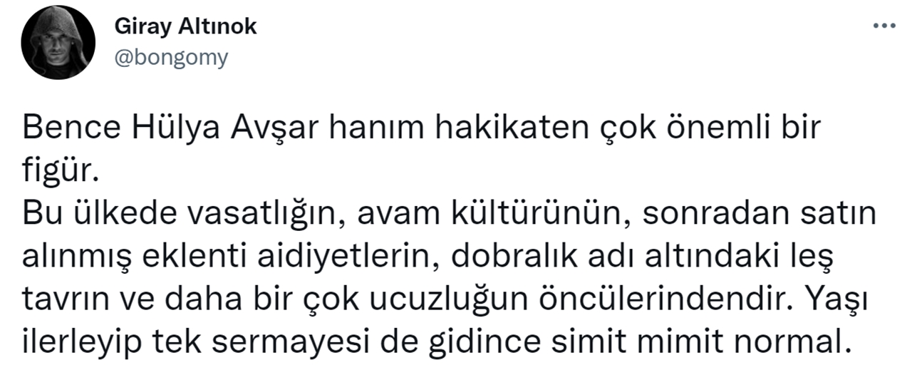 Hülya Avşar incident