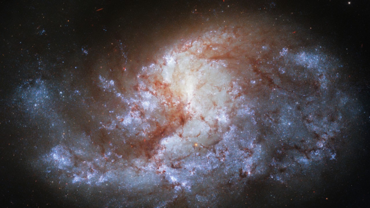 spiral galaxy named NGC1385 