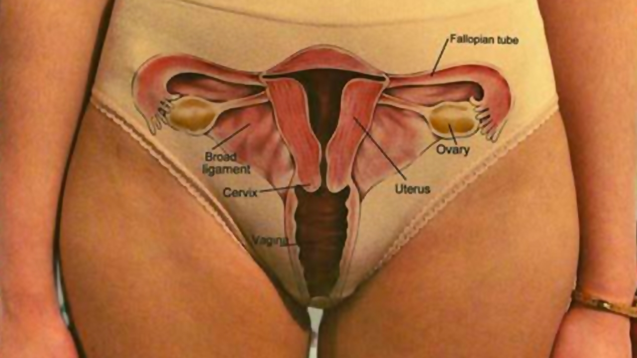 vagina information