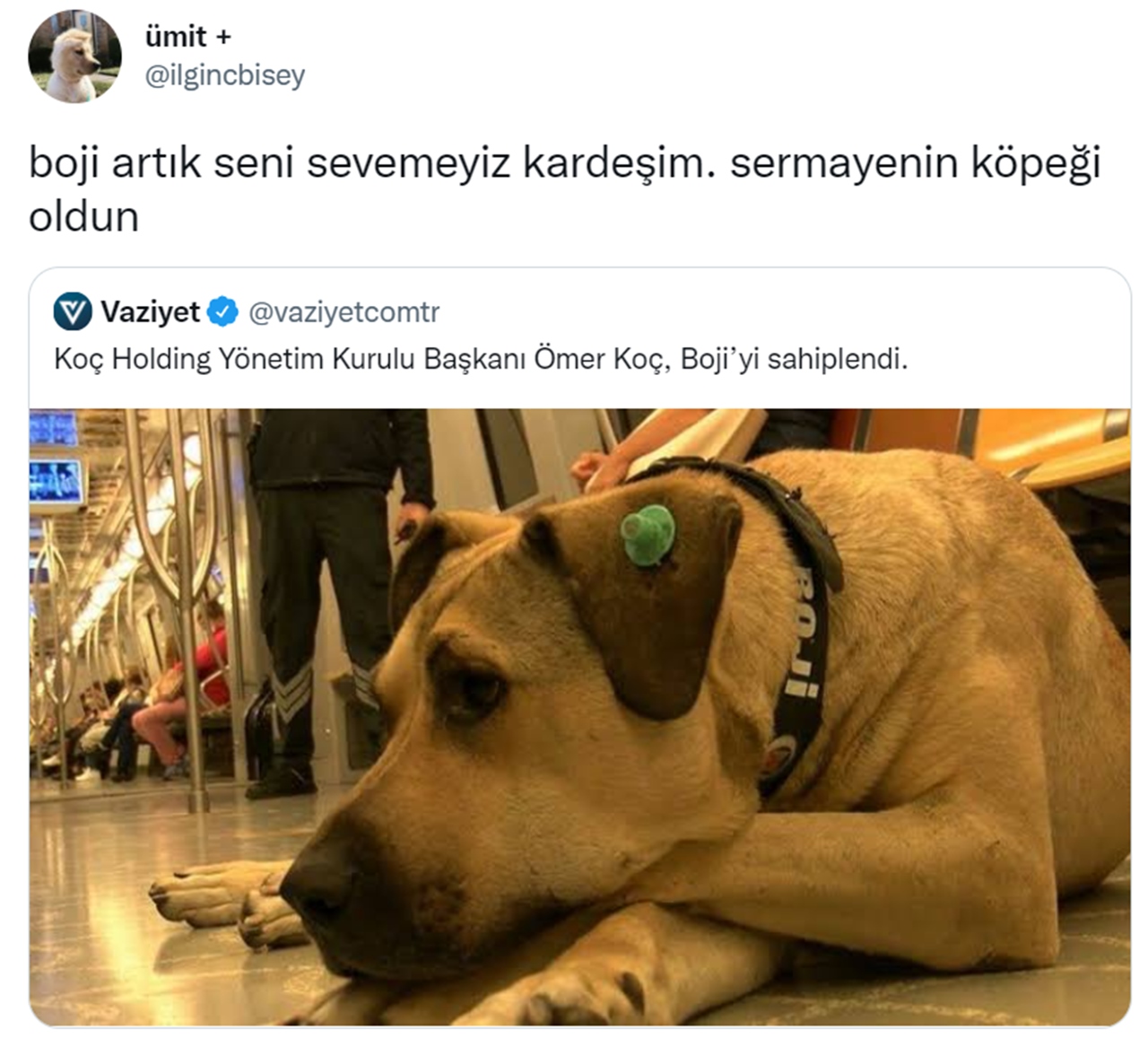 the dog of the capital