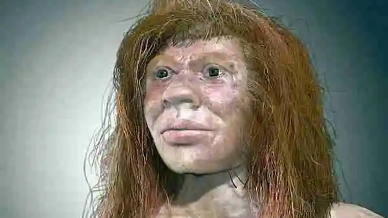 denisova-hominin