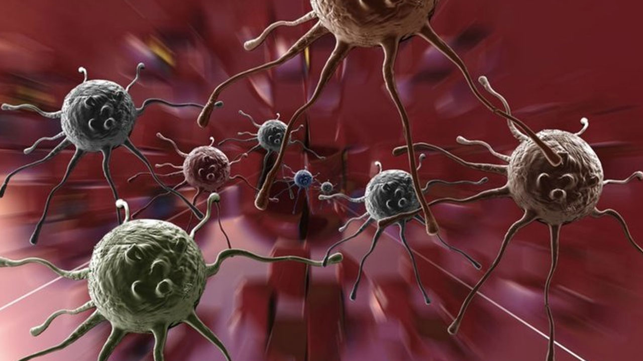 HIV Virsnn Daha Bulac ve lmcl Varyant Kefedildi