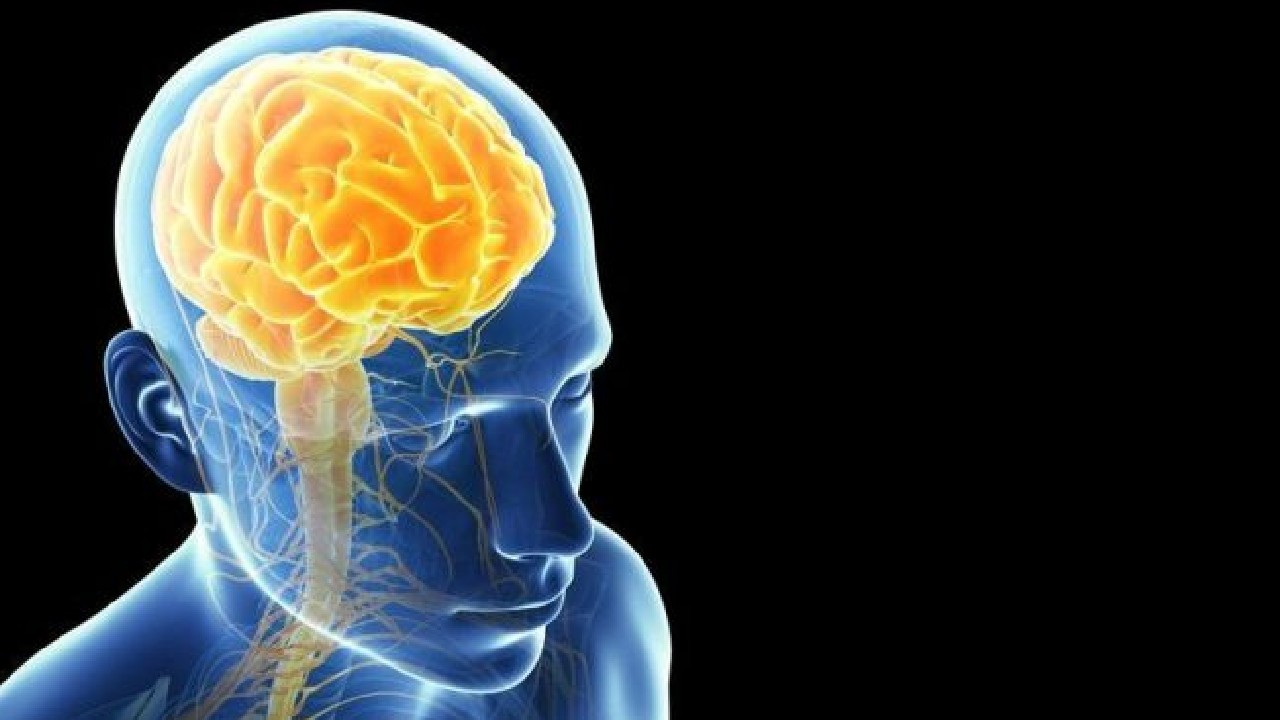 Beynin Konuma Rahatszlklarna Sebep Olan Blgesi Bulundu