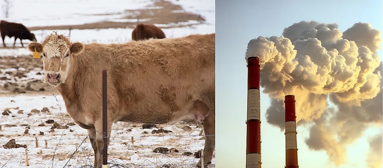 methane gas and livestock industry