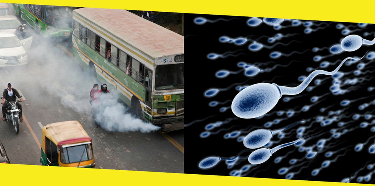 sperm and air pollution