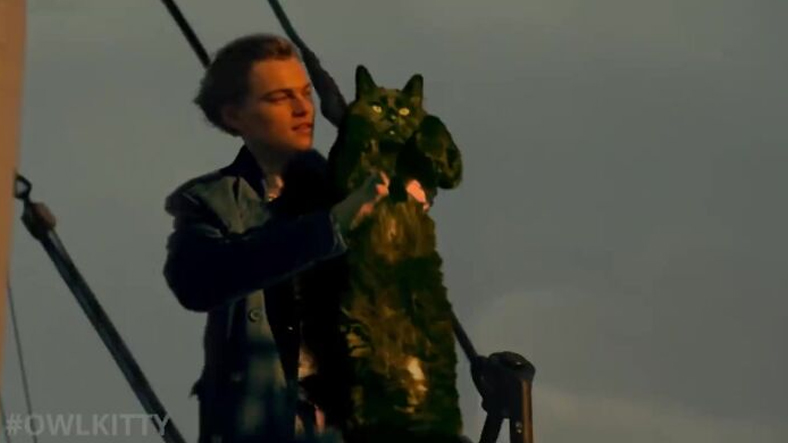 Titanik Filmine Yıllar Sonra Yapılan Montaj: Hem de Bir Kedi